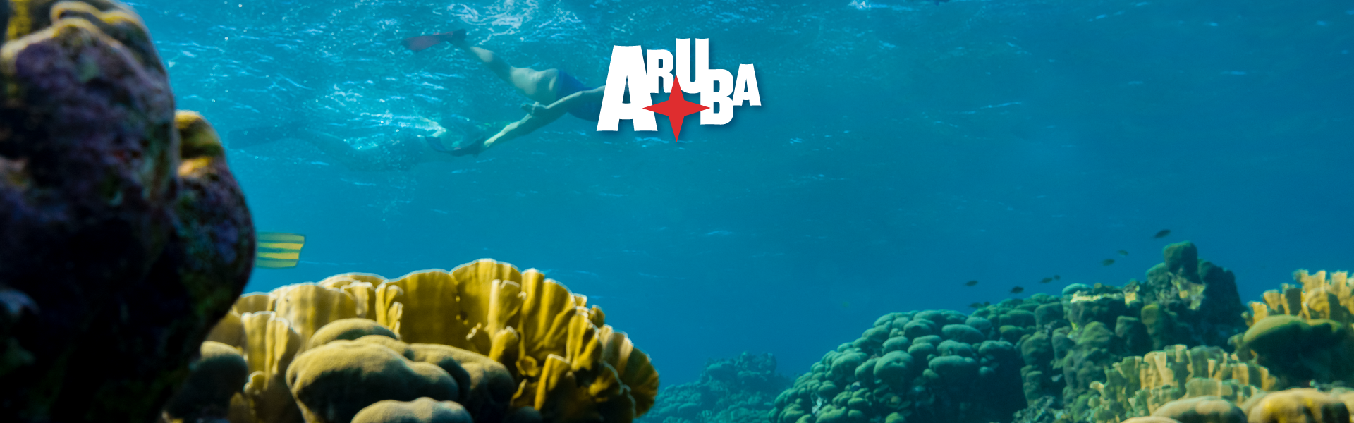 ARUBA JULIO 02 2024